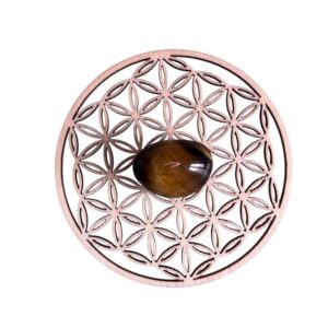 Pierre roulée œil de tigre ronde Afrique du Sud A 2 x 3 cm +/-0.5 cm (Vendu à l’unité)