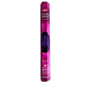 Encens HEM CLEANING POWERS 20g