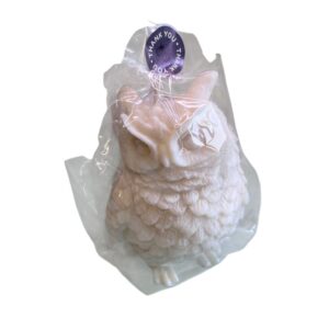 Bougie hibou