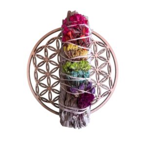 Sauge Blanche Positive Vibes - Fagot 10cm