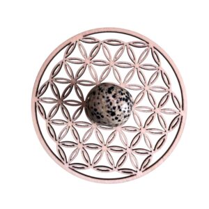 Pierre roulée jaspe dalmatien A 2 x 3 cm +/-0.5 cm (Vendu à l’unité)