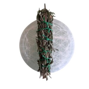 Palo santo et Romarin du jardin