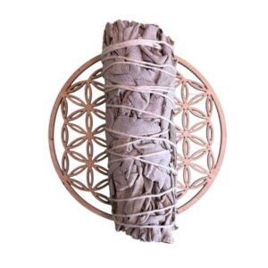 Sauge Blanche - Fagot 11 cm