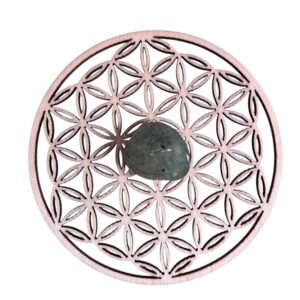 Pierre roulée préhnite Mali A 2 x 3 cm +/-0.5 cm (Vendu à l’unité)