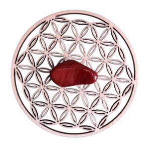 Pierre roulée jaspe rouge  A 2 x 3 cm +/-0.5 cm (Vendu à l’unité)