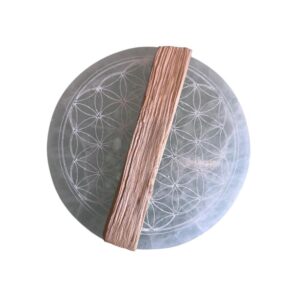 Palo Santo (vendu à l'unité)